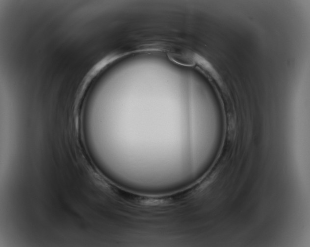 X0000086331419200704131707