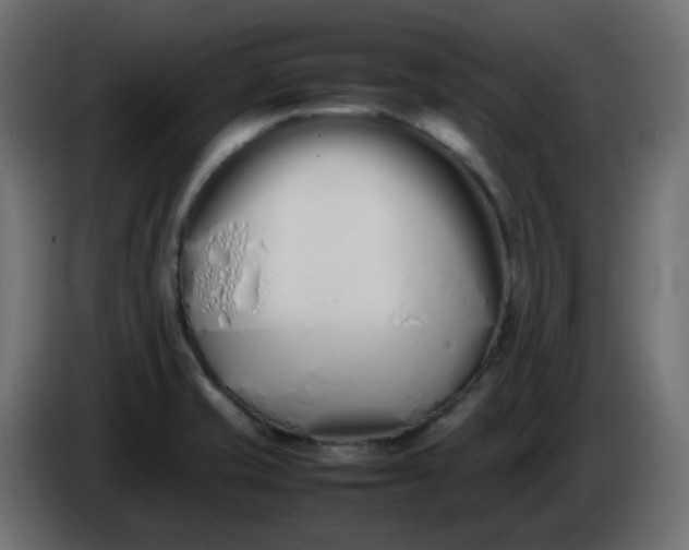 X0000086331421200704131707