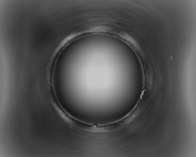 X0000086331422200704131707