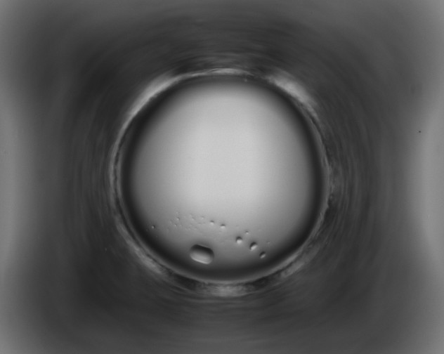 X0000086331423200704131707