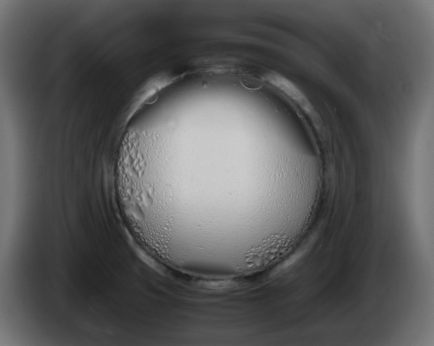X0000086331425200704131707