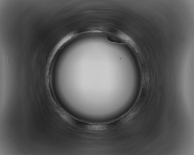 X0000086331427200704131707