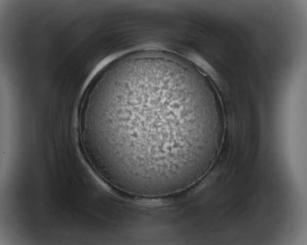 X0000086331428200704131707