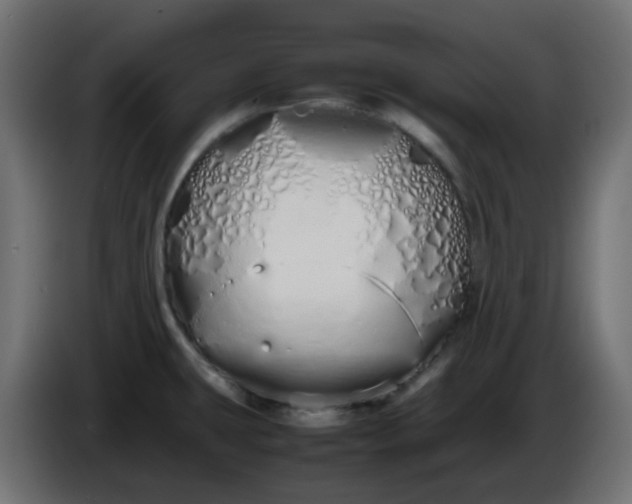 X0000086331431200704131707