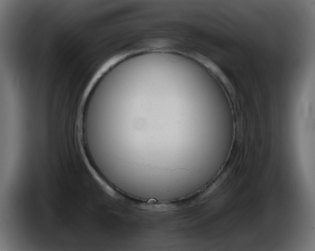 X0000086331432200704131707