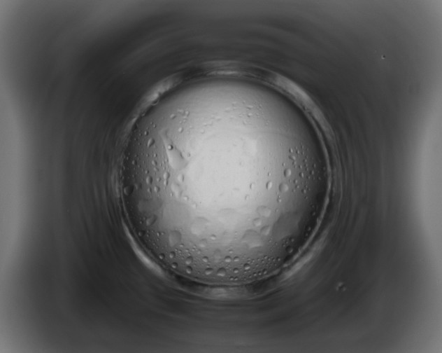 X0000086331433200704131707