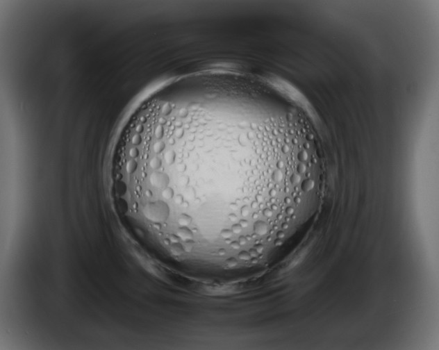 X0000086331435200704131707