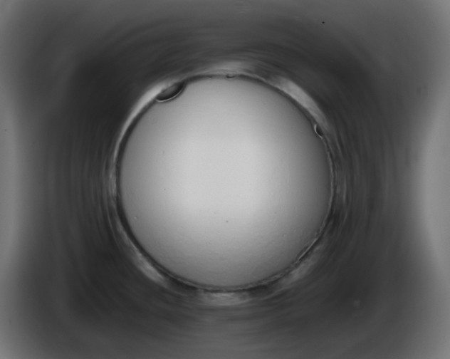 X0000086331436200704131707