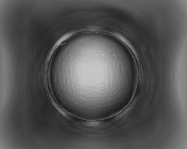 X0000086331437200704131707