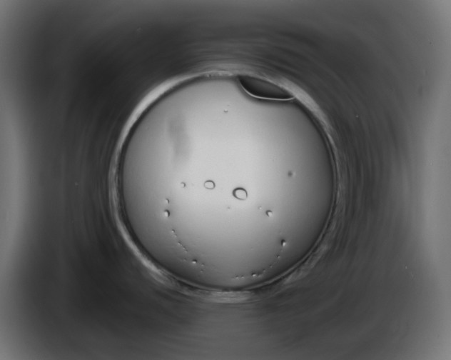 X0000086331440200704131707