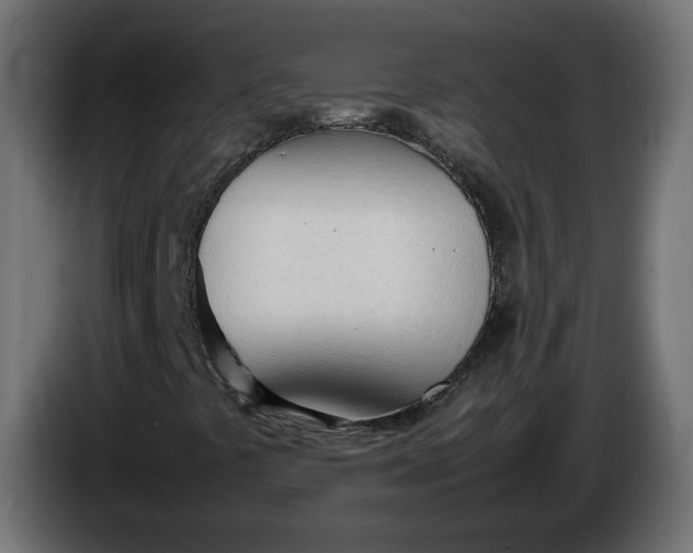 X0000086331441200704131707