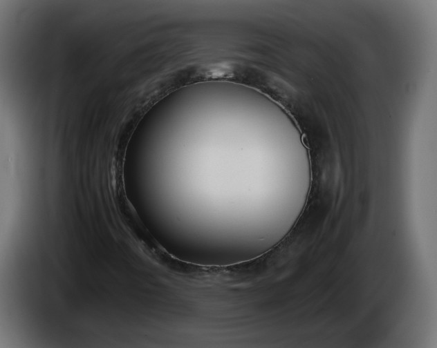 X0000086331442200704131707