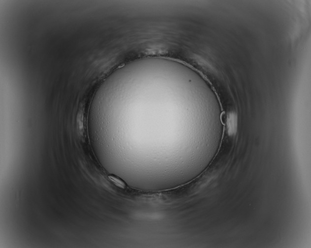 X0000086331444200704131707