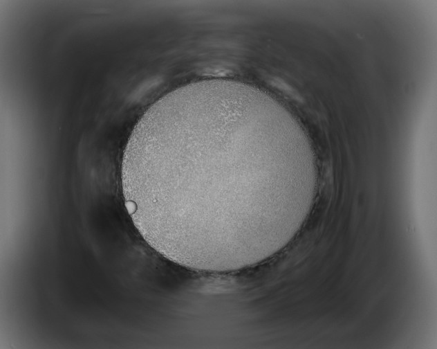 X0000086331446200704131707