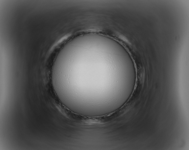 X0000086331448200704131707