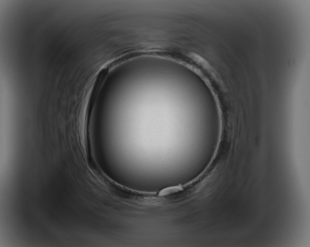 X0000086331449200704131706