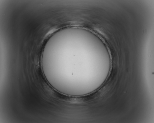 X0000086331451200704131706