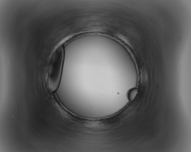 X0000086331452200704131706