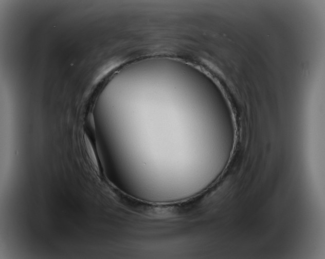 X0000086331453200704131706