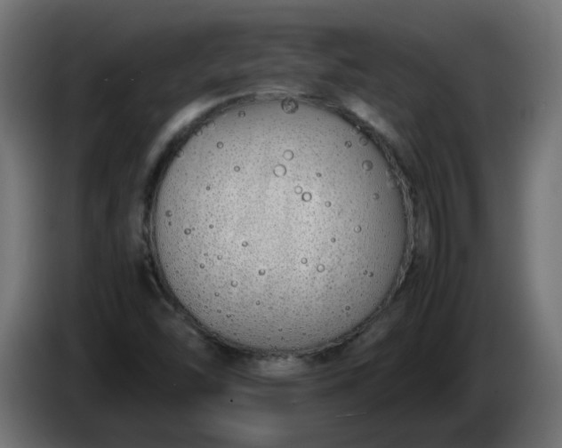 X0000086331454200704131706