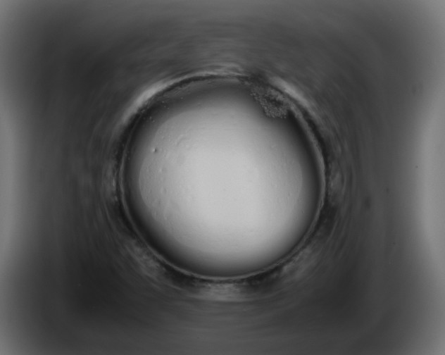 X0000086331455200704131706