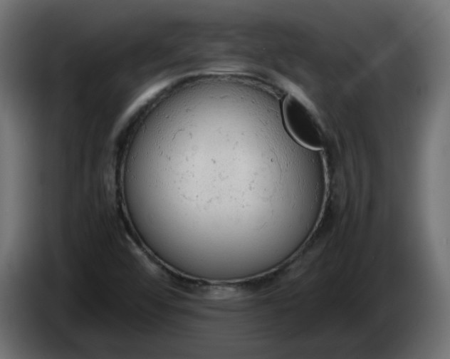 X0000086331456200704131706