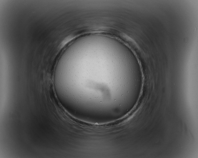 X0000086331457200704131706