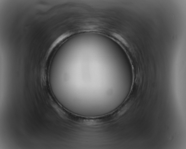X0000086331458200704131706