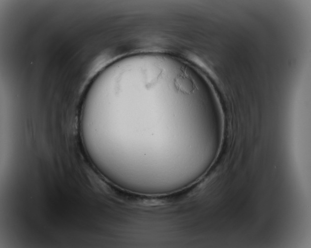 X0000086331459200704131706
