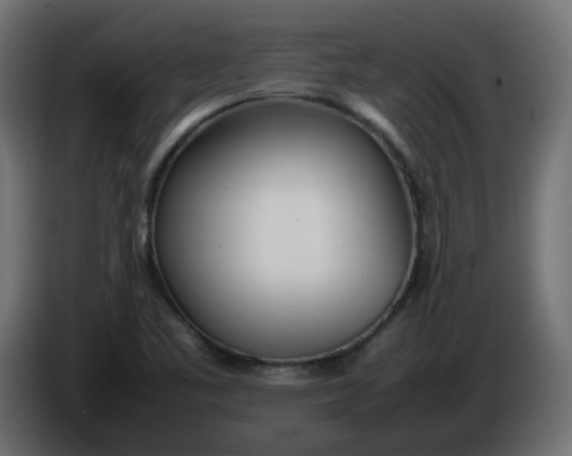 X0000086331461200704131706