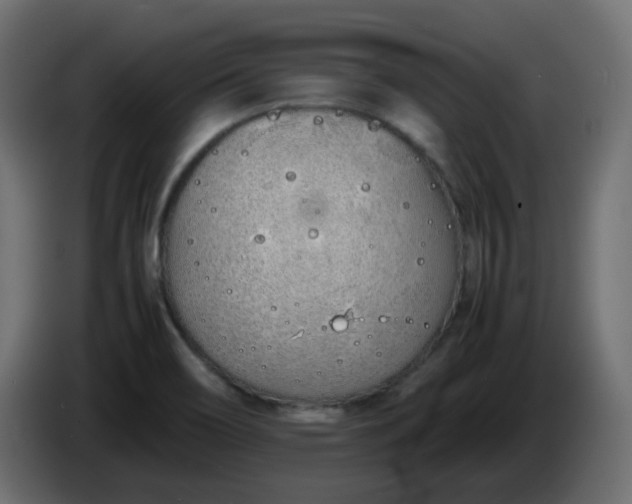 X0000086331466200704131706
