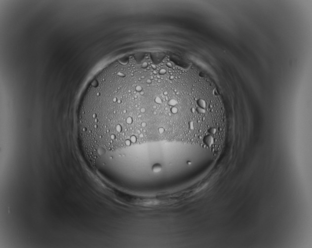 X0000086331467200704131706