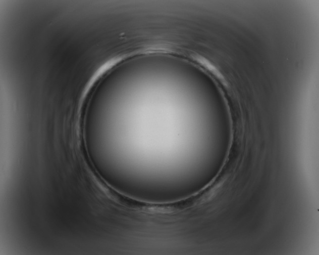 X0000086331469200704131706