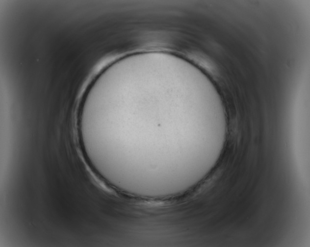 X0000086331470200704131706