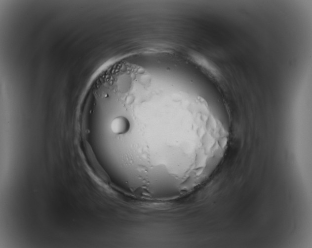 X0000086331471200704131706