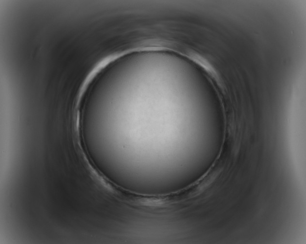 X0000086331472200704131706