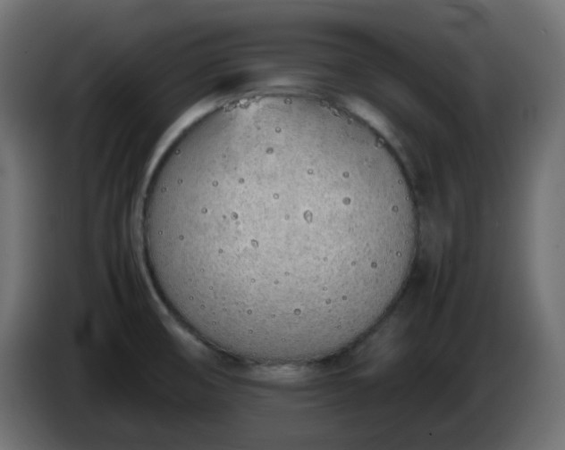 X0000086331474200704131706