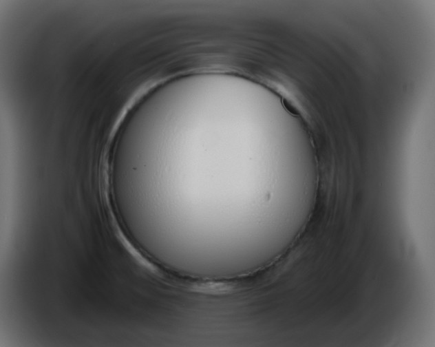 X0000086331476200704131706