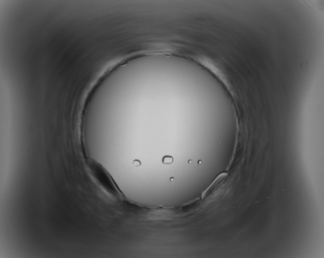 X0000086331477200704131706