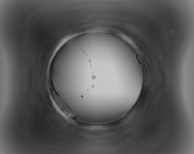 X0000086331479200704131706