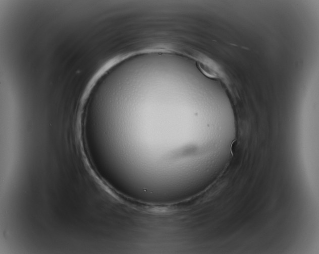 X0000086331480200704131706