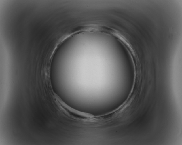 X0000086331481200704131706