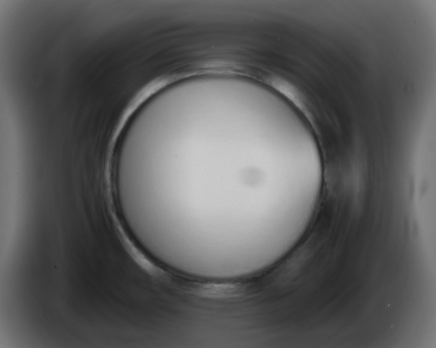 X0000086331482200704131706