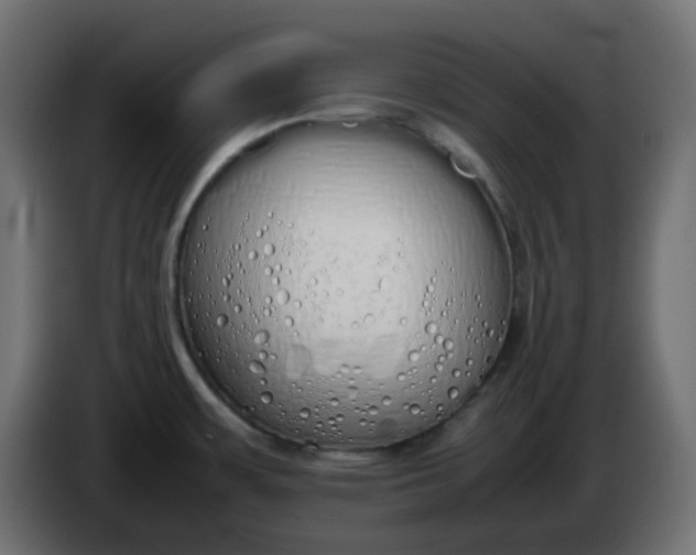 X0000086331483200704131706