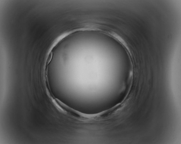 X0000086331485200704131706