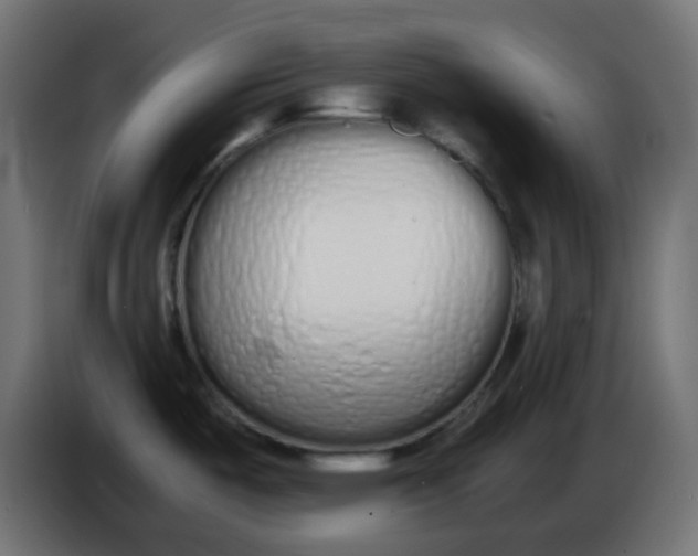 X0000086331487200704131706