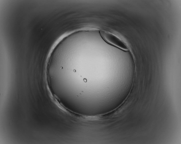 X0000086331488200704131706