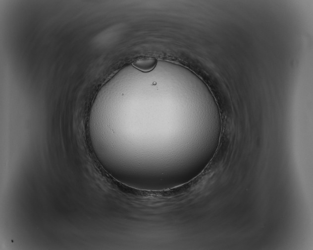 X0000086331489200704131705