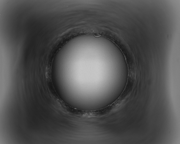 X0000086331490200704131705