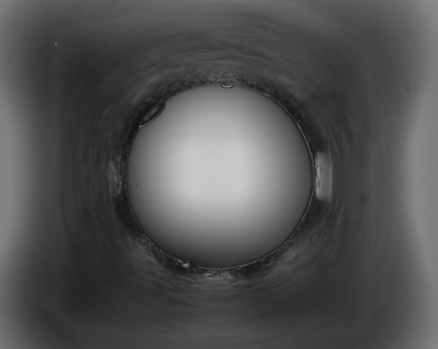 X0000086331491200704131705
